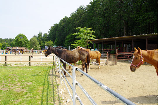那須千本松牧場