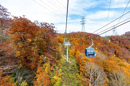 ドラゴンドラ～秋の空中散歩～