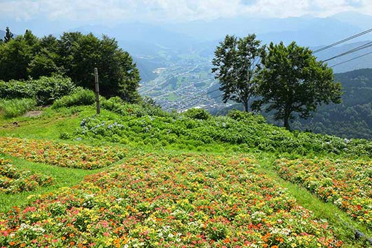湯沢高原スキー場／パノラマパーク