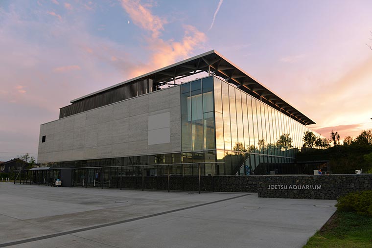 上越市立水族博物館うみがたり