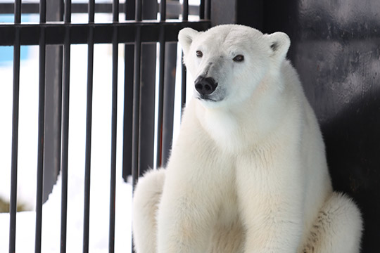 おびひろ動物園