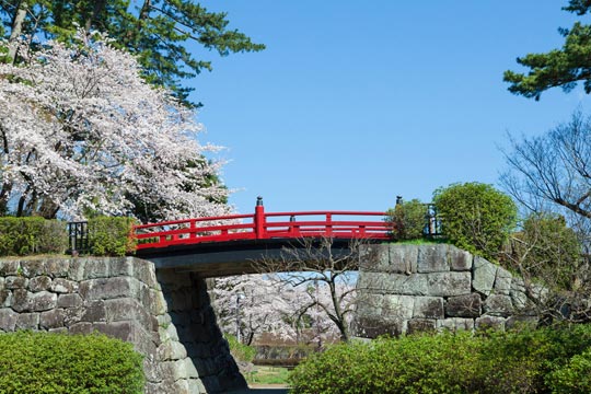 小田原城址公園