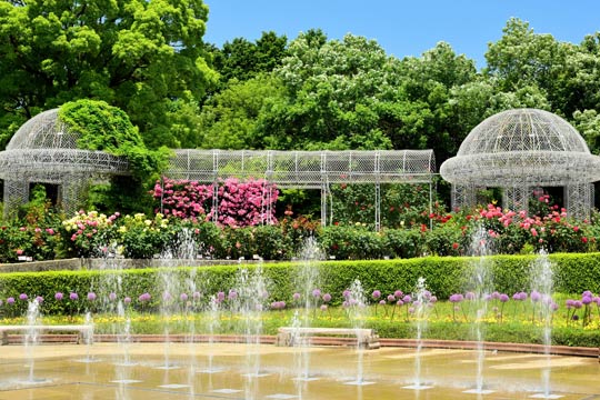 小田原フラワーガーデン