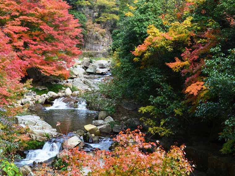 豪渓（ごうけい）