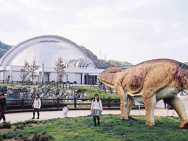 笠岡市立カブトガニ博物館