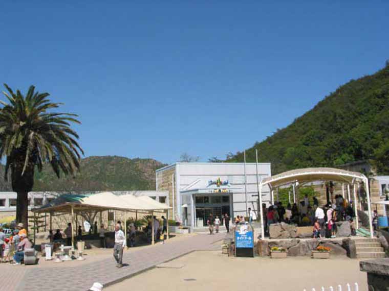 市立玉野海洋博物館（渋川マリン水族館）