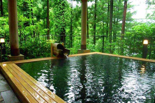 奥多摩温泉 もえぎの湯