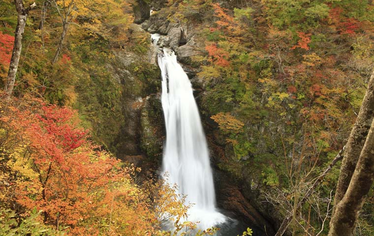 秋保大滝