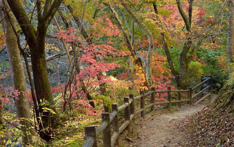 磊々峡（らいらいきょう）