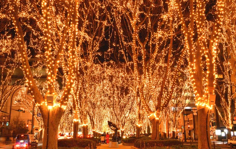 青葉通・定禅寺通のケヤキ並木　「光のページェント」