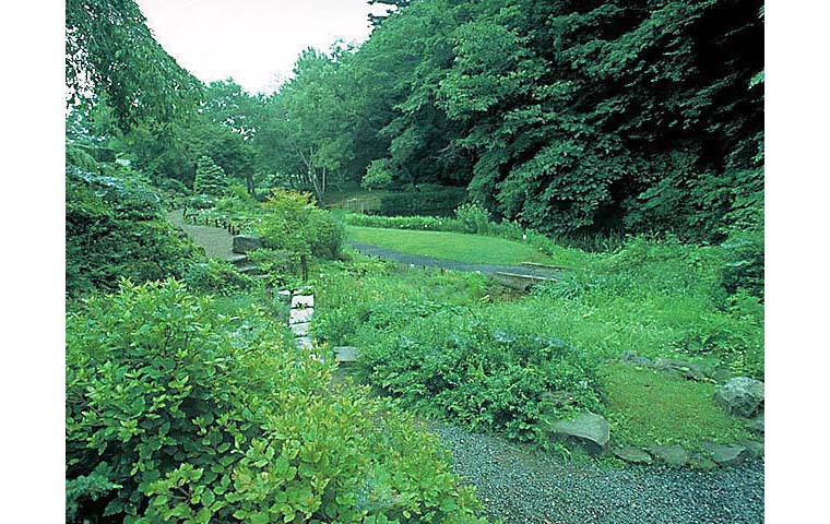東北大学植物園