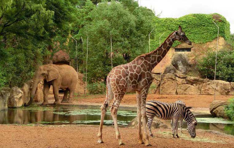 仙台市八木山動物公園