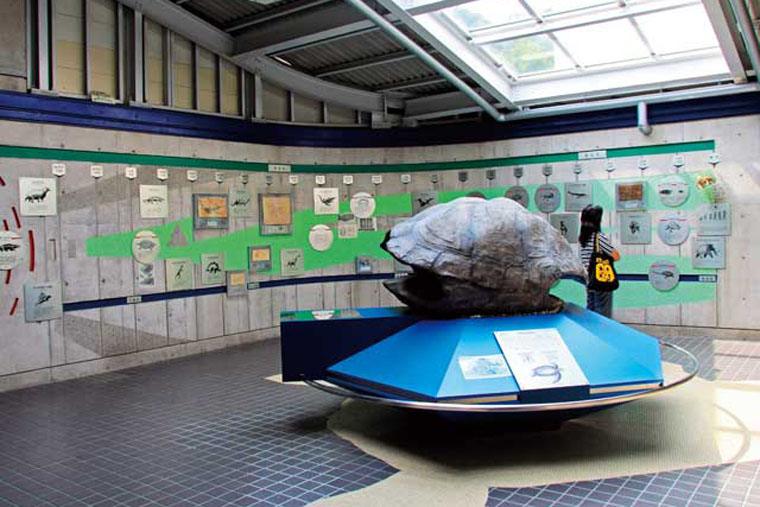 日和佐うみがめ博物館カレッタ