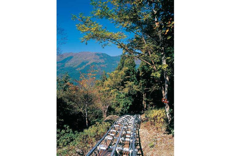 奥祖谷観光周遊モノレール