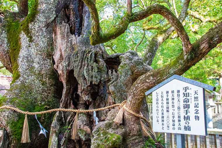 しまなみ海道 大山祇神社