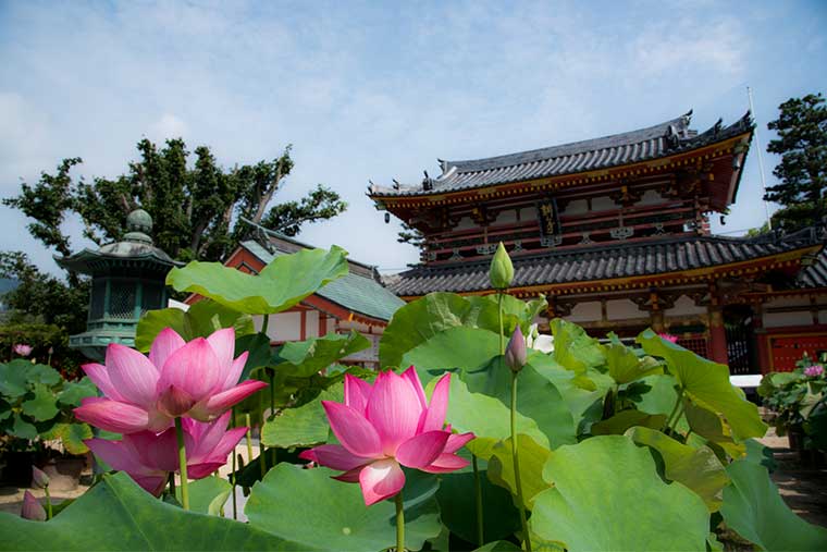 しまなみ海道 耕三寺博物館