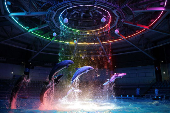 マクセル アクアパーク品川