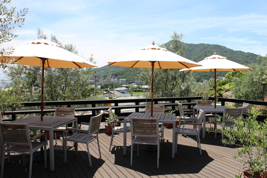 小豆島オリーブ園