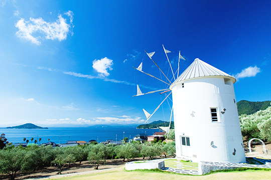 道の駅 小豆島 オリーブ公園