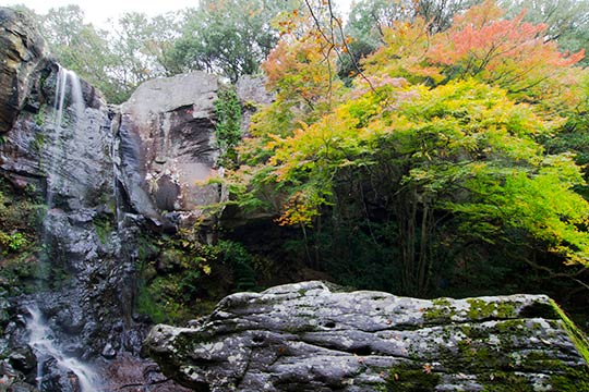 銚子渓 自然動物園お猿の国