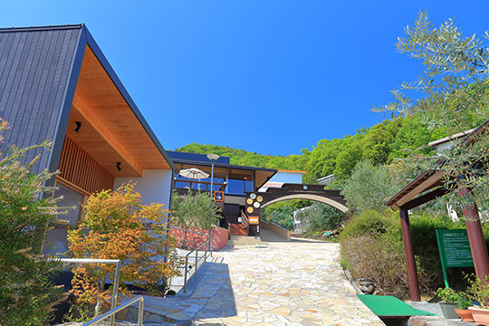 小豆島オリーブ園