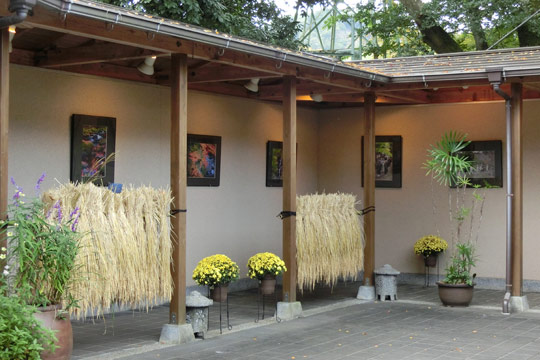 しゅぜんじ回廊