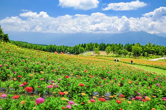 富士見高原リゾート