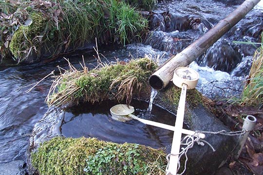 諏訪大社 上社前宮「水眼の清流」