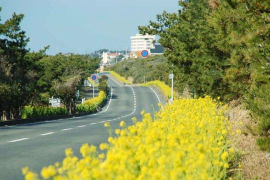 房総フラワーライン