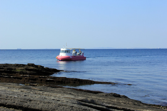 海中観光船「たてやま号」