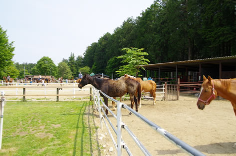 那須千本松牧場