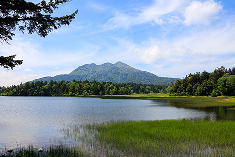 尾瀬国立公園（福島県）