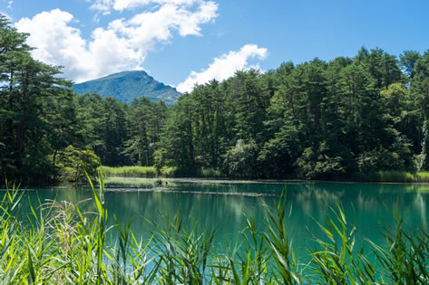 五色沼自然探勝路