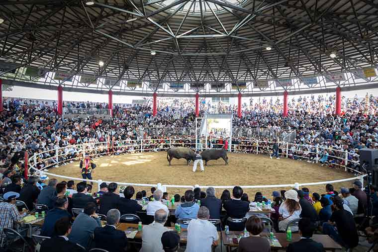 徳之島なくさみ館