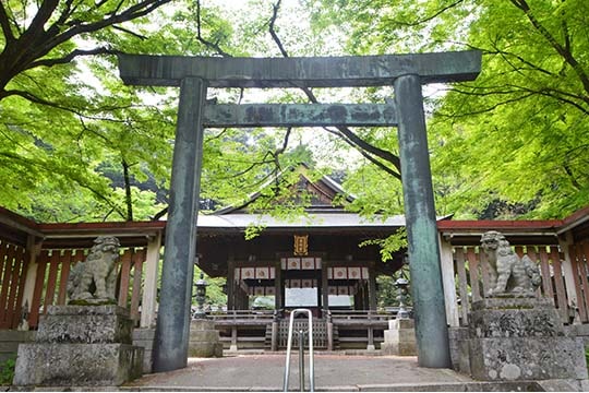 金崎宮（かねがさきぐう）