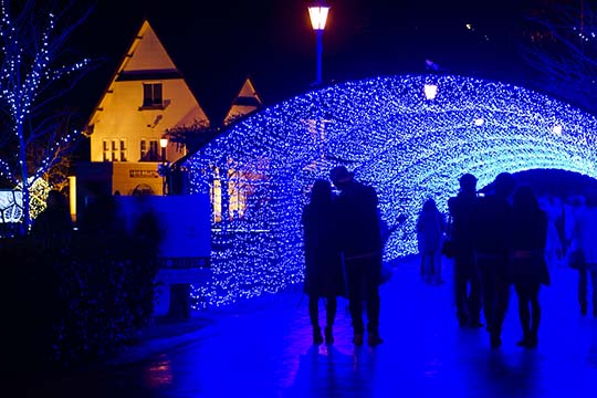 敦賀港イルミネーション「ミライエ」