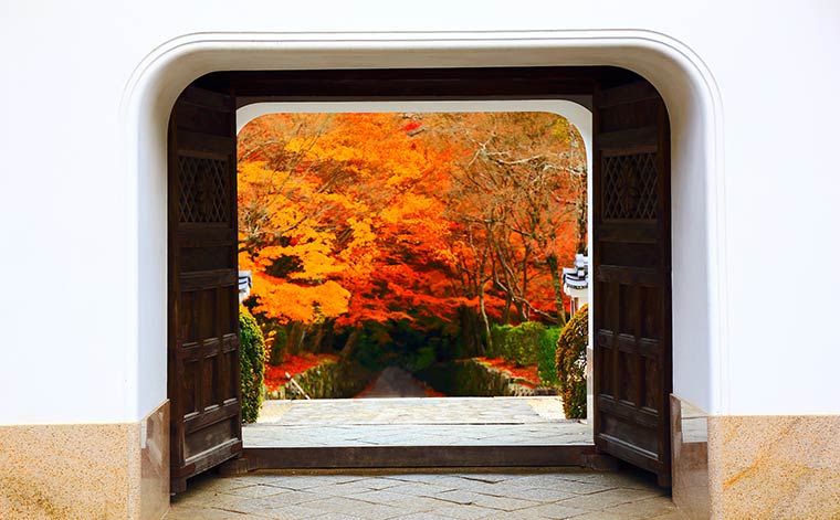 興聖寺 琴坂の紅葉