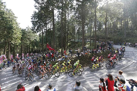 ジャパンカップサイクルロードレース