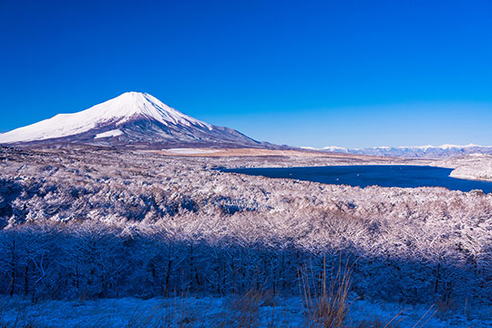 山中湖パノラマ台