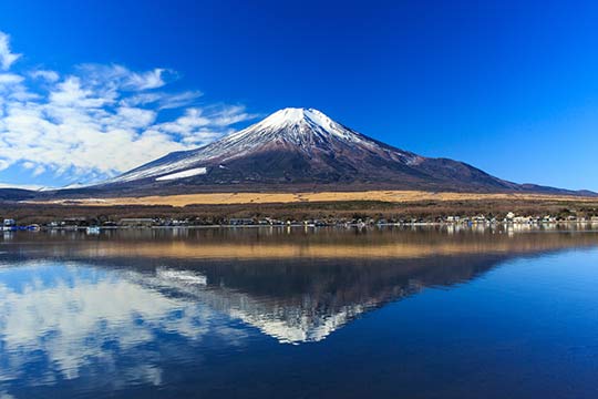 山中湖親水公園(長池親水公園)