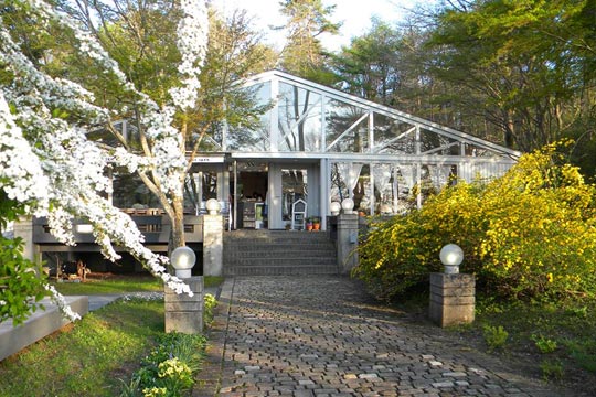 ペーパームーン