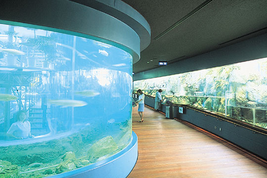 山梨県立富士湧水の里水族館