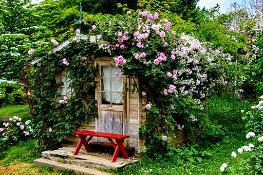 山梨県立フラワーセンター ハイジの村