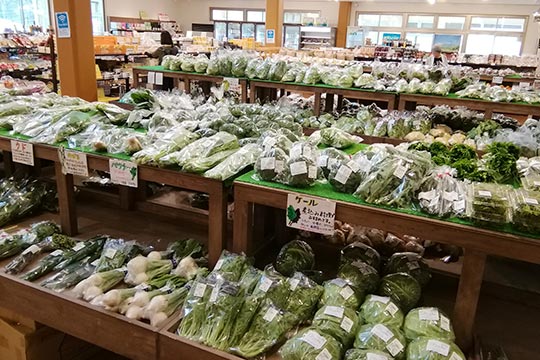 道の駅こぶちさわ