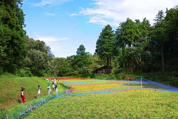 こども自然公園