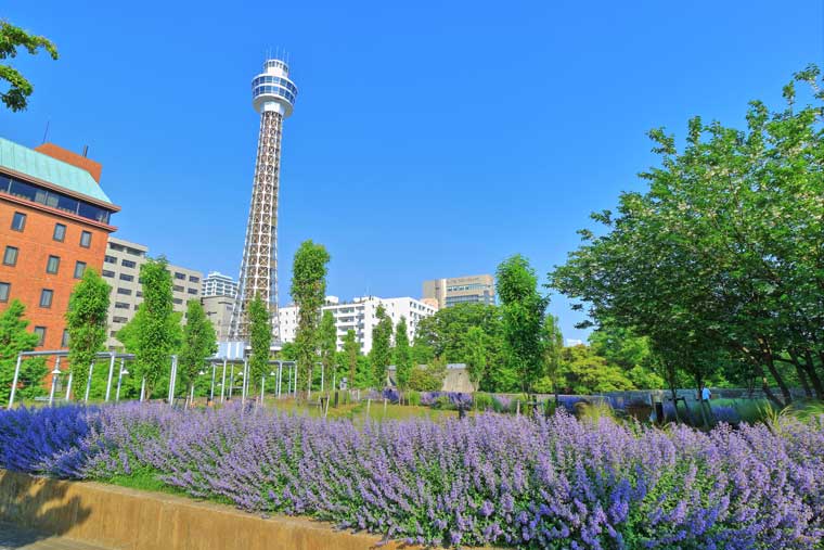 横浜マリンタワー