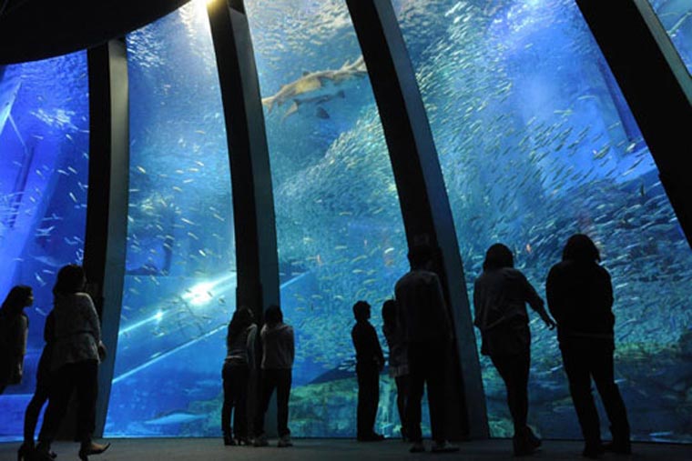 八景島シーパラダイス