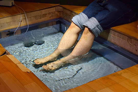 ドクターフィッシュ