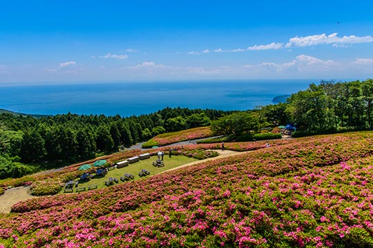 星ヶ山公園 さつきの郷