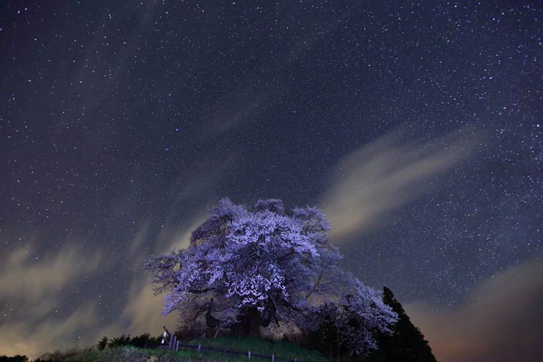発地の彼岸桜・星景